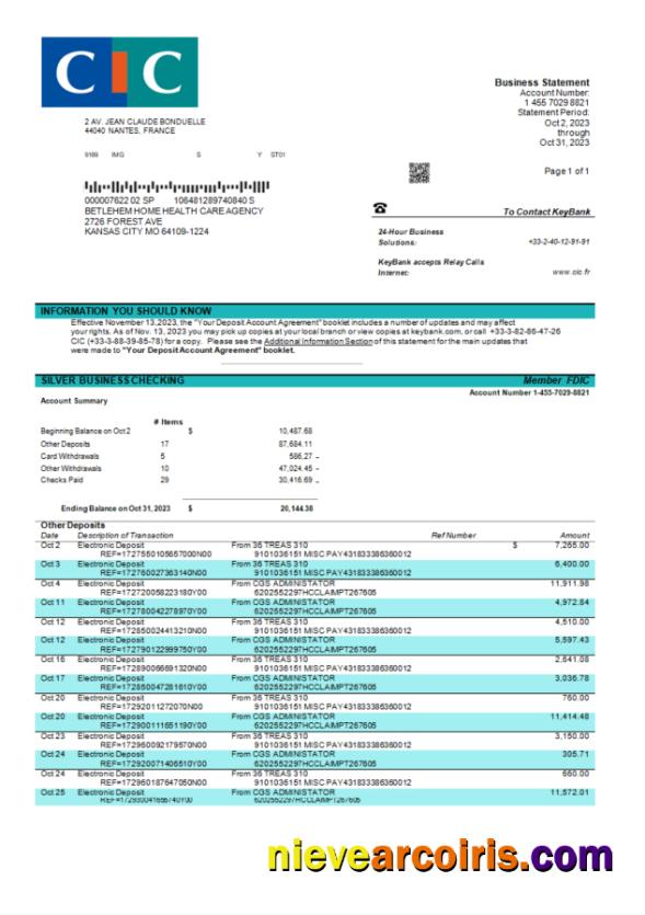 CIC Bank enterprise statement